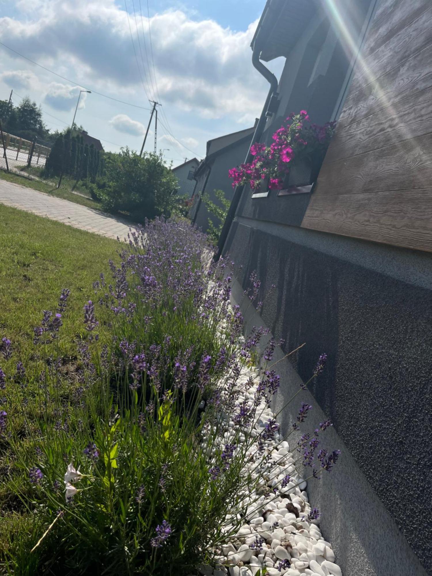 Apartament Numer 1, Dwie Sypialnie Dwa Lozka Orzysz Bagian luar foto